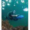 Seascooter Yamaha RDS250 Recreational Dive Series