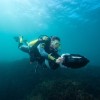 Seascooter Acquascooter Yamaha PDS275L DPV Diver Propulsion Veichle