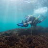 Seascooter Yamaha PDS220Li Professional Dive Series 500w Li-Ion