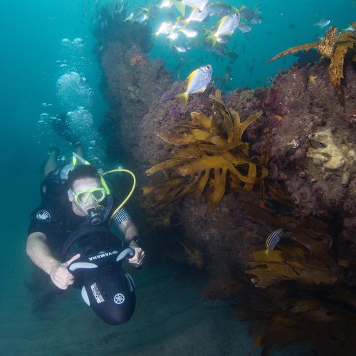Seascooter Yamaha RDS280 Recreational Dive Series