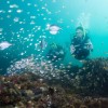 Seascooter Yamaha RDS280 Recreational Dive Series